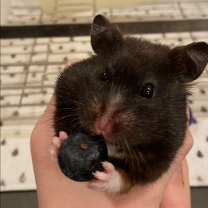 Meet your Posher, Kati